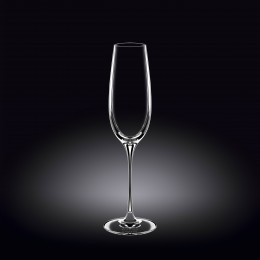 Набор из 2-х бокалов для шампанского 260мл WL-888048/2C