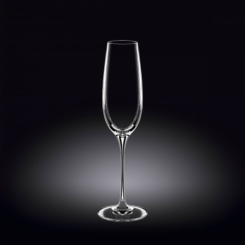 Набор из 2-х бокалов для шампанского 260мл WL-888048/2C Wilmax