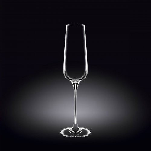 Набор из 2-х бокалов для шампанского 270мл WL-888049/2C Wilmax