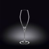 Набор из 2-х бокалов для шампанского 290мл WL-888050/2C Wilmax